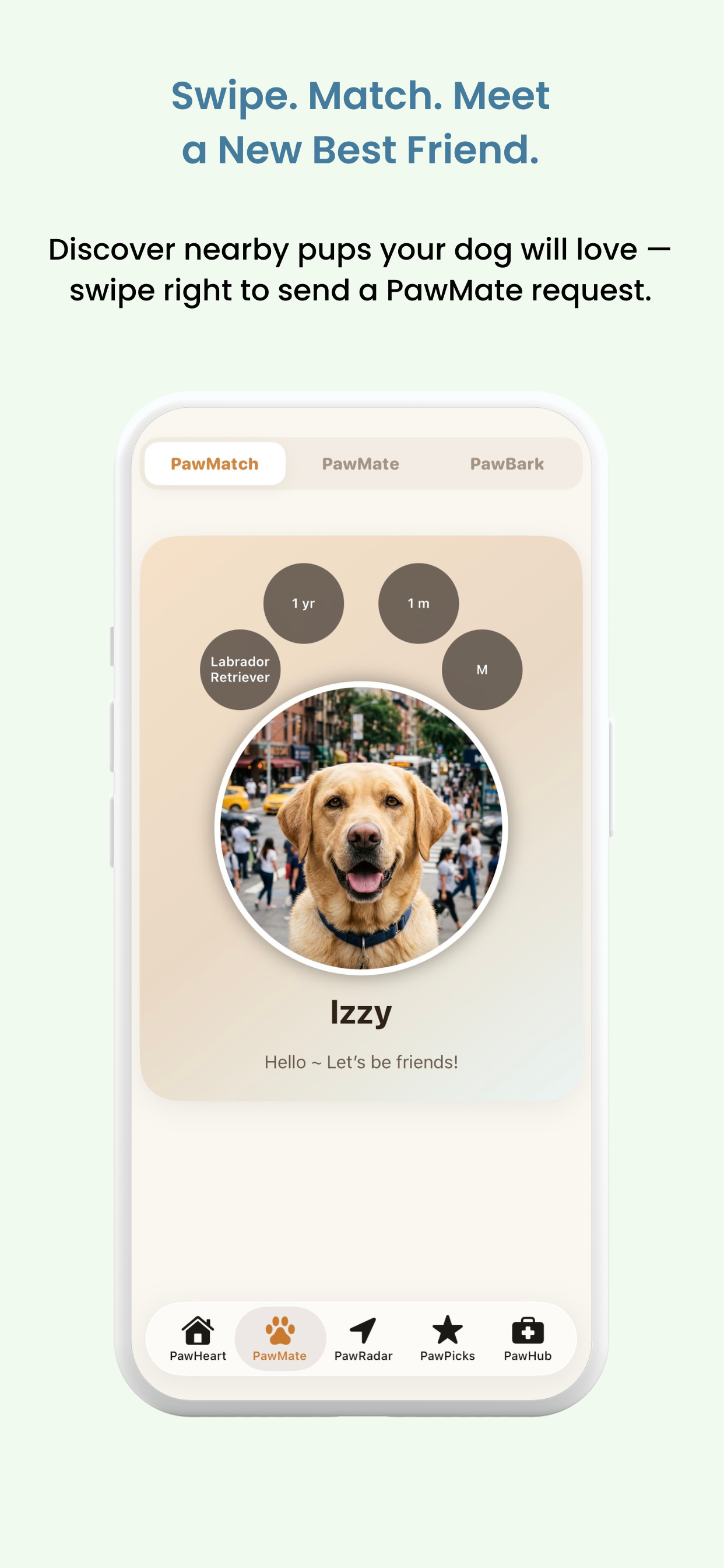 PocketPaw – Home Screen